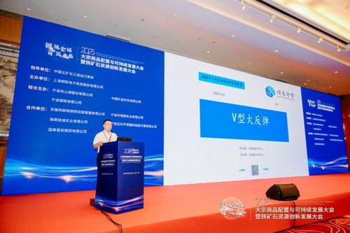 绿色转型与战略协同 2025大宗商品配置与可持续发展大会暨铁矿石资源创新发展大会圆满落幕